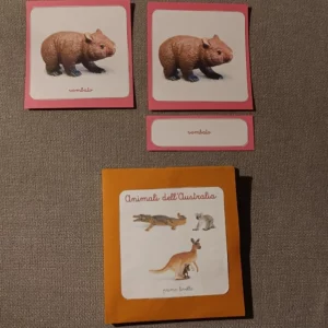 Nomenclature Montessori di primo livello: Animali dell’Australia