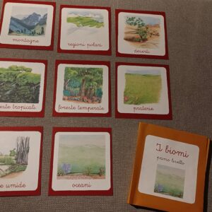 Nomenclature Montessori di primo livello: gli otto biomi