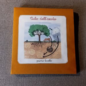 Nomenclature Montessori di primo livello: Il ciclo dell’azoto
