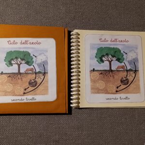 Nomenclature Montessori di secondo livello: il ciclo dell’azoto