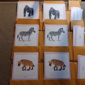 Nomenclature Montessori di primo livello: Animali dell’Africa