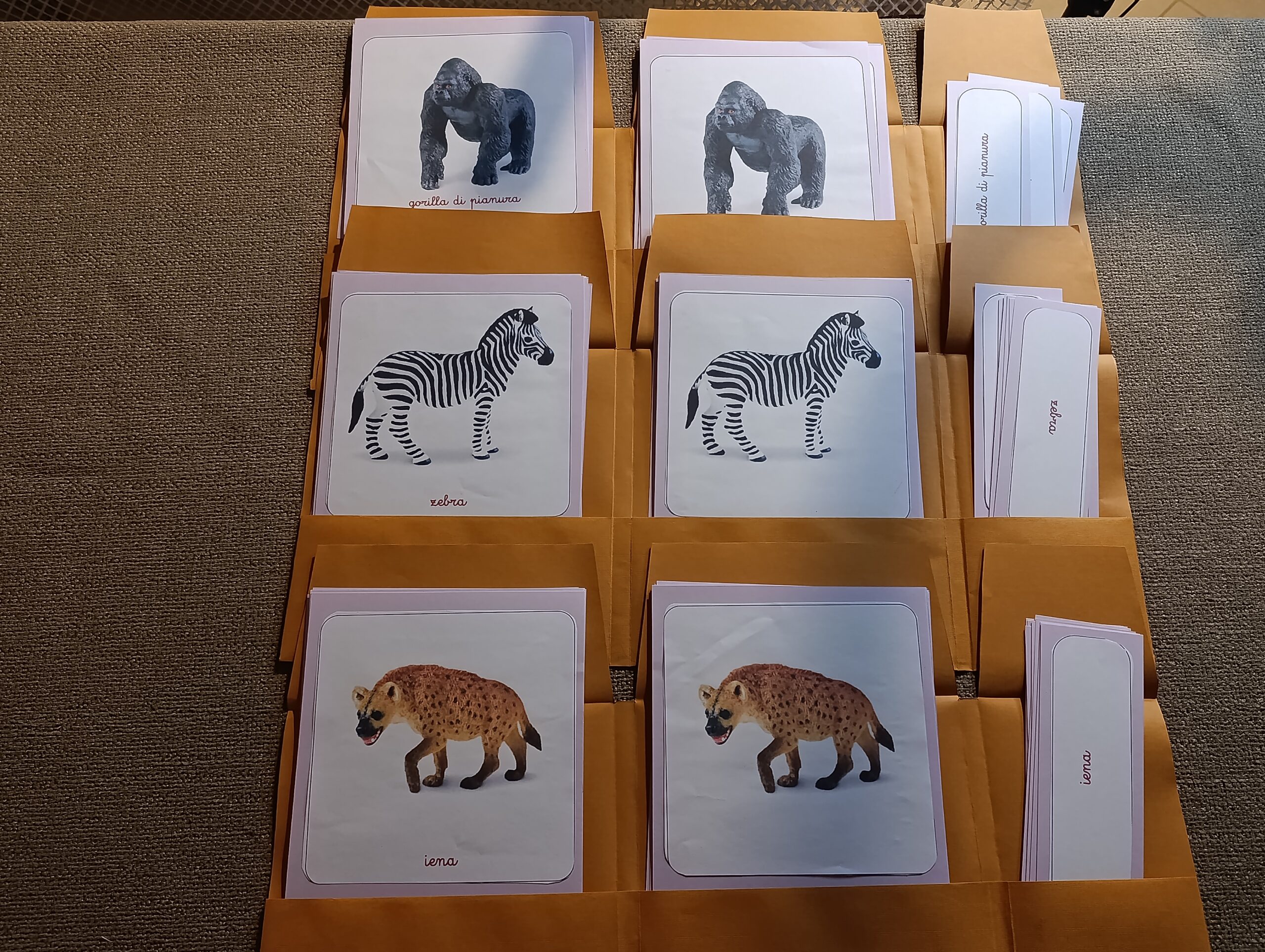Nomenclature Montessori di primo livello: Animali dell’Africa