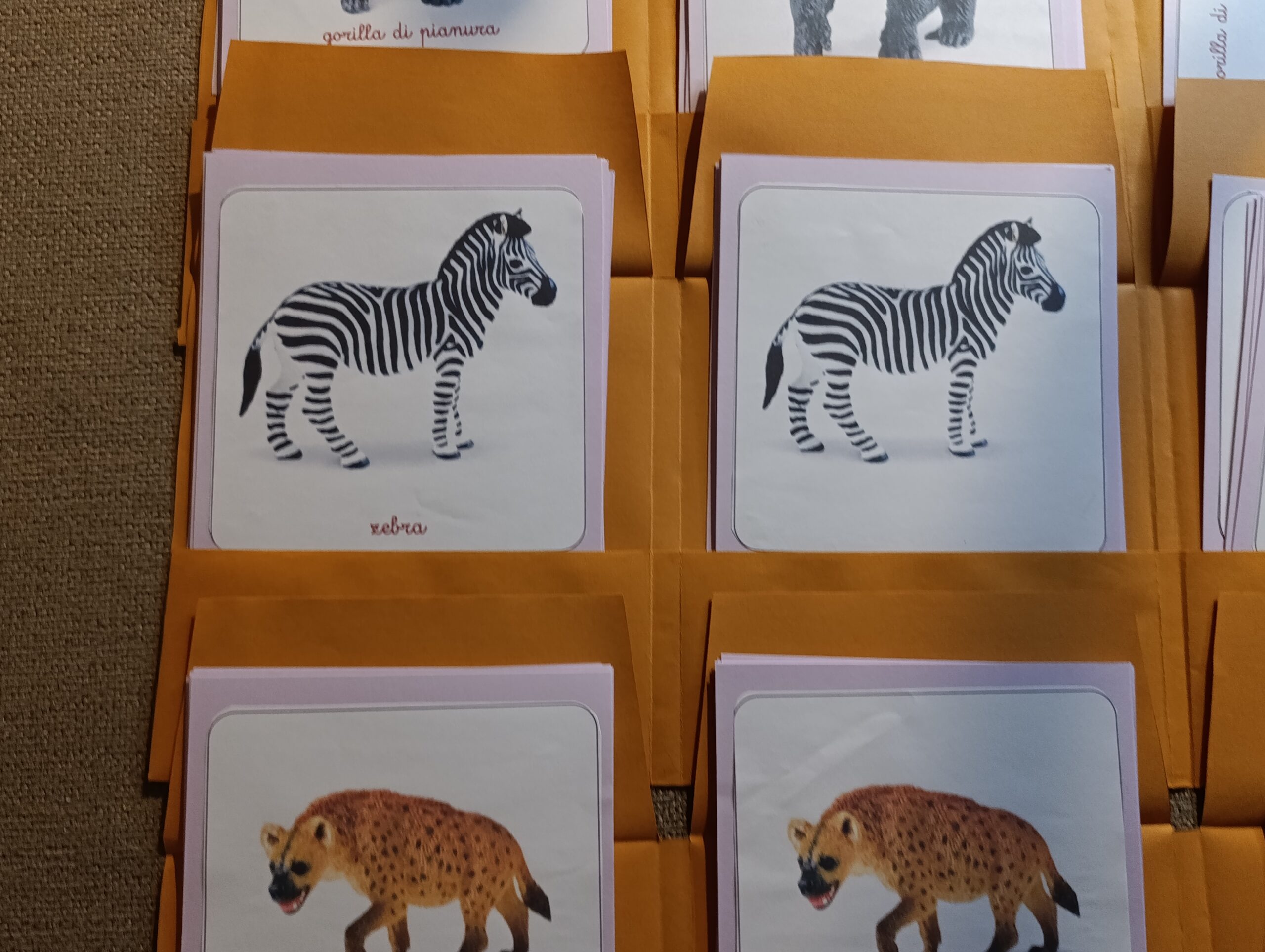 Nomenclature Montessori di primo livello: Animali dell’Africa - immagine 4