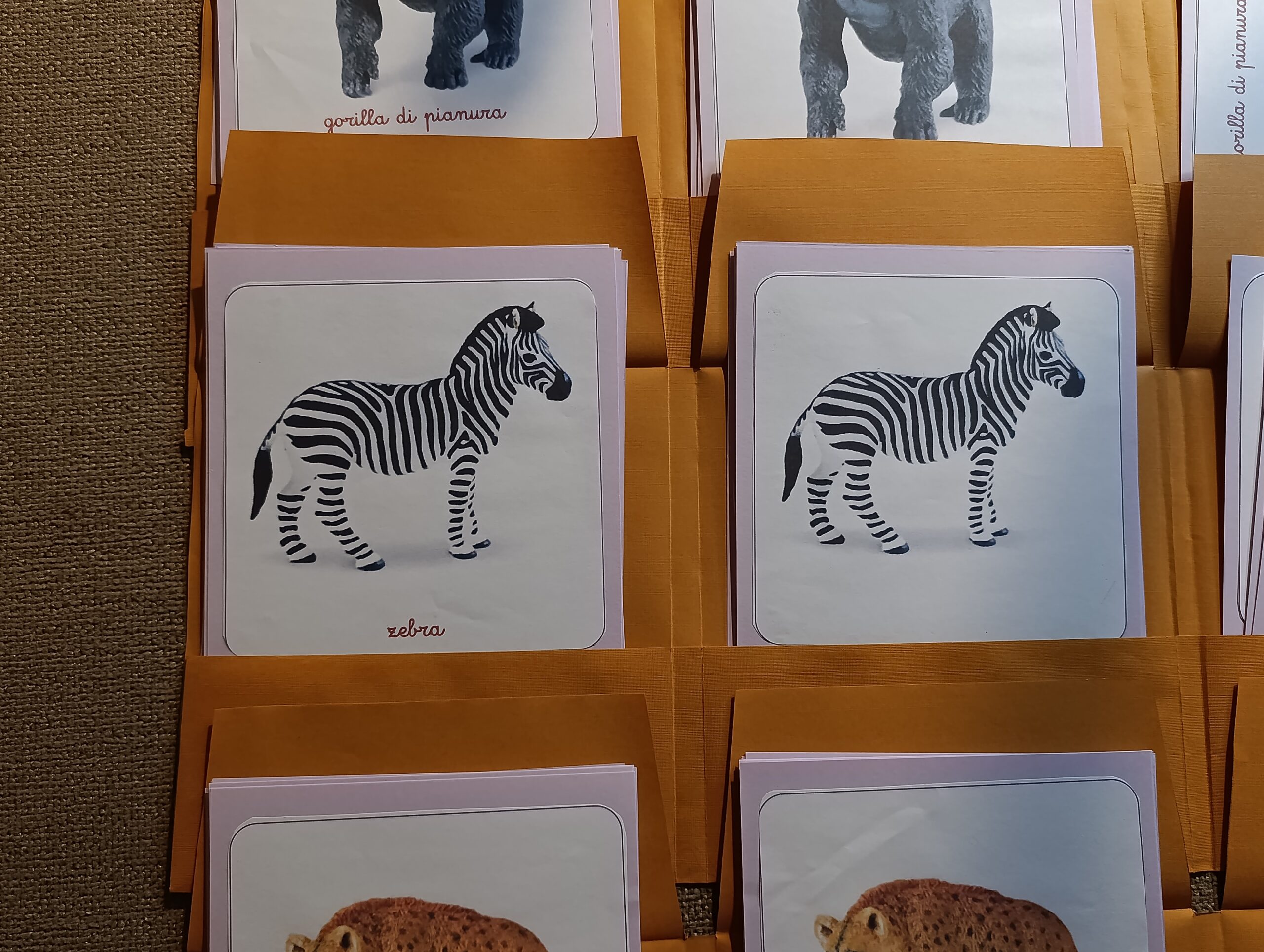 Nomenclature Montessori di primo livello: Animali dell’Africa - immagine 5