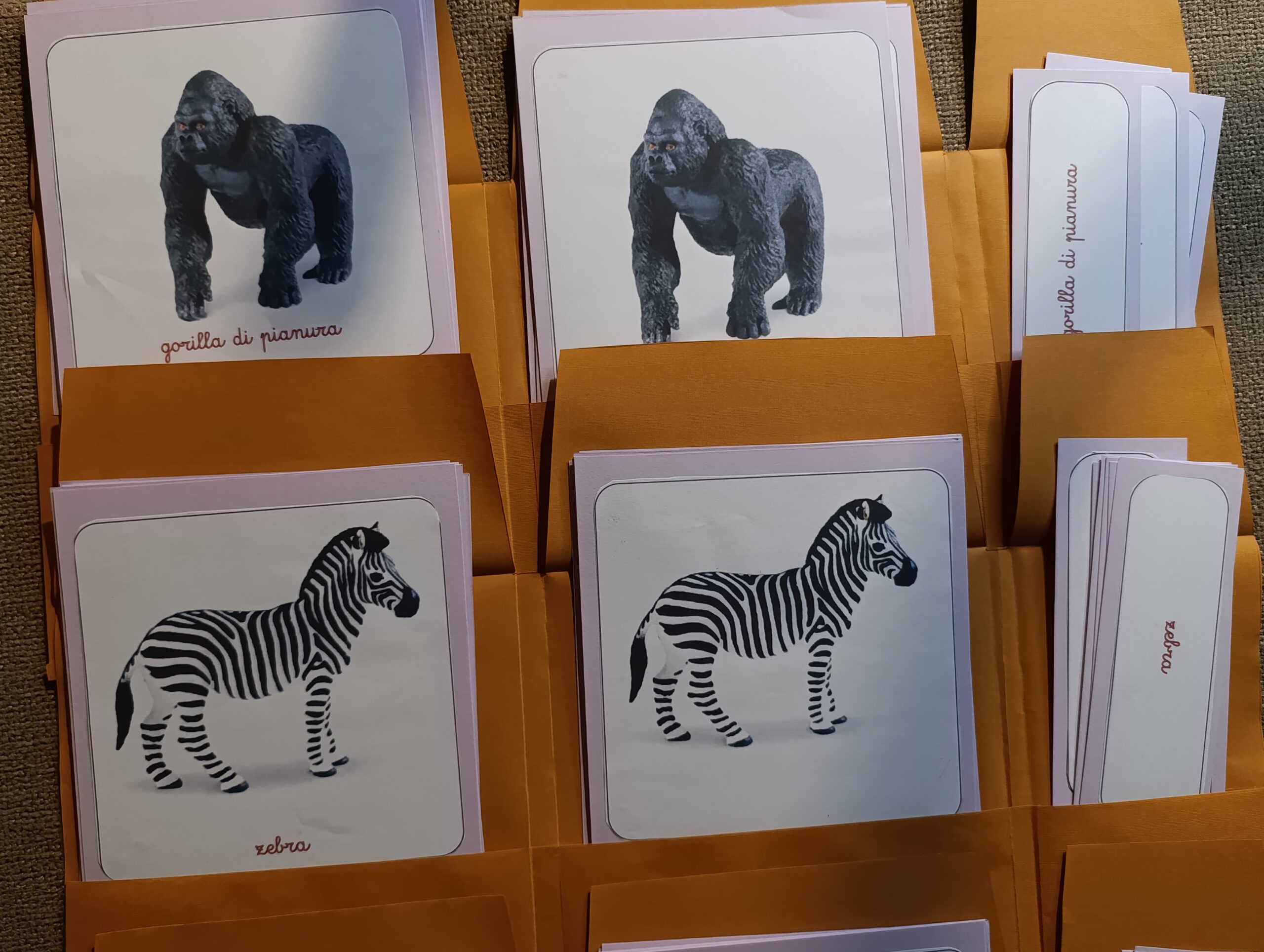 Nomenclature Montessori di primo livello: Animali dell’Africa - immagine 6