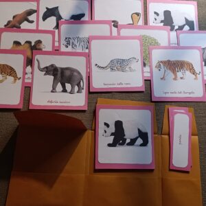 Nomenclature Montessori di primo livello: Animali dell’Asia