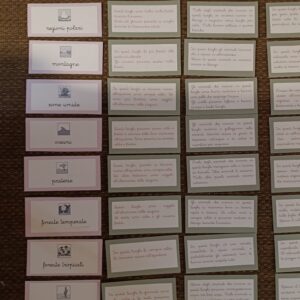 Questionario autocorrettivo sui biomi