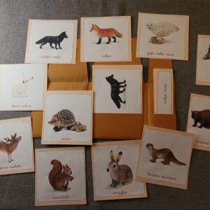 Nomenclature Montessori di primo livello: animali dell’Europa