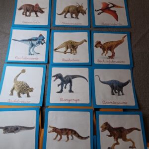 Nomenclature Montessori di primo livello: dinosauri