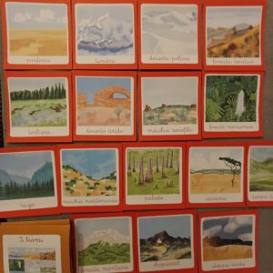 Nomenclature Montessori di primo livello: biomi della terra