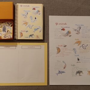 Materiale Montessori di terzo livello: Classificazione degli animali