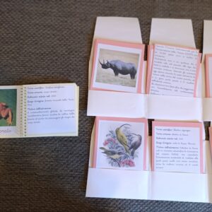 Nomenclature Montessori di secondo livello: animali recentemente estinti