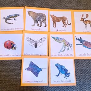 Nomenclature Montessori di primo livello: animali maculati