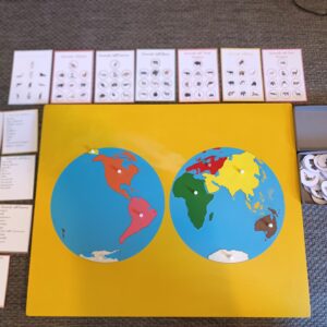 Gli animali dei sette continenti: gioco B